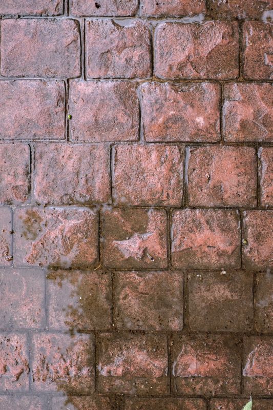 Decorative Concrete Repair in Pearland, TX